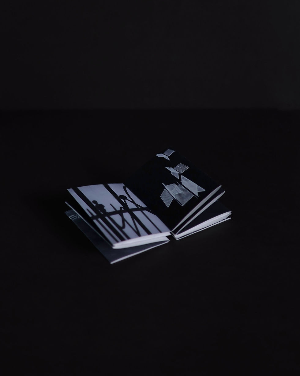 Thumbnail: Following Light