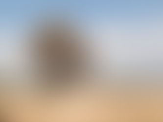 'When The Summer Ends' is an ode to autumn and the beauty that it brings 