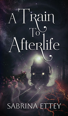A Train To Afterlife.jpg
