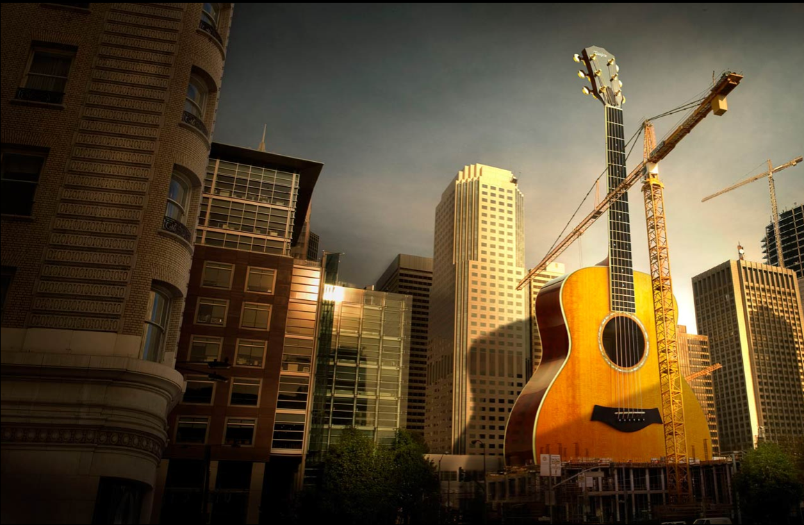 Taylor Guitar
