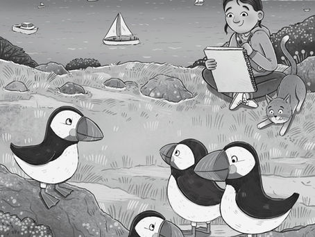Young Girl Sketching Puffins