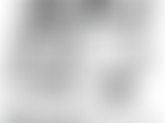 kids having adventures on a school bus