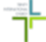 Latin%20Link%20logo%20Ayla%20Alianza%20E