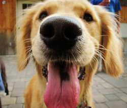 998655_426244867488842_1863058369_n