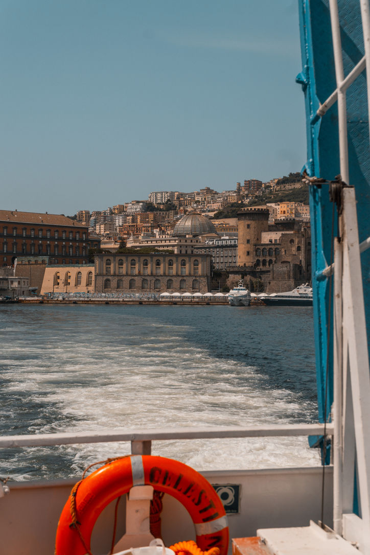 DSC08895.jpg