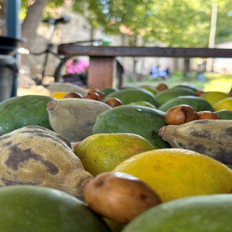 Nourishing Adolescent Health Through Simple, Local Fruit Choices.