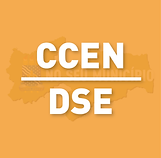 15 - CCEN-DSE-01.png