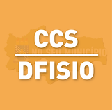 32 - CCS - DFISIO-01.png
