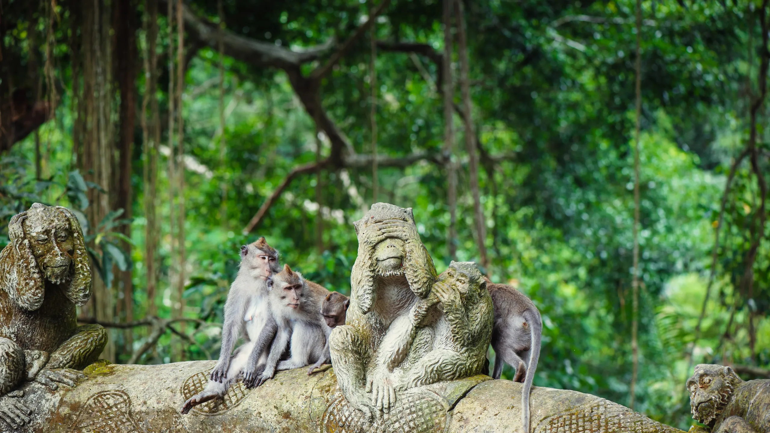 GettyImages-482510997.jpg.webp