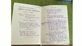 Dans les Coulisses de la future animation de mon Atelier d'écriture calligraphiée