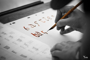 Au Salon du livre d'Irigny