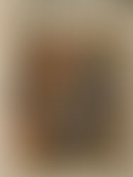 Saint Jérôme écrivant