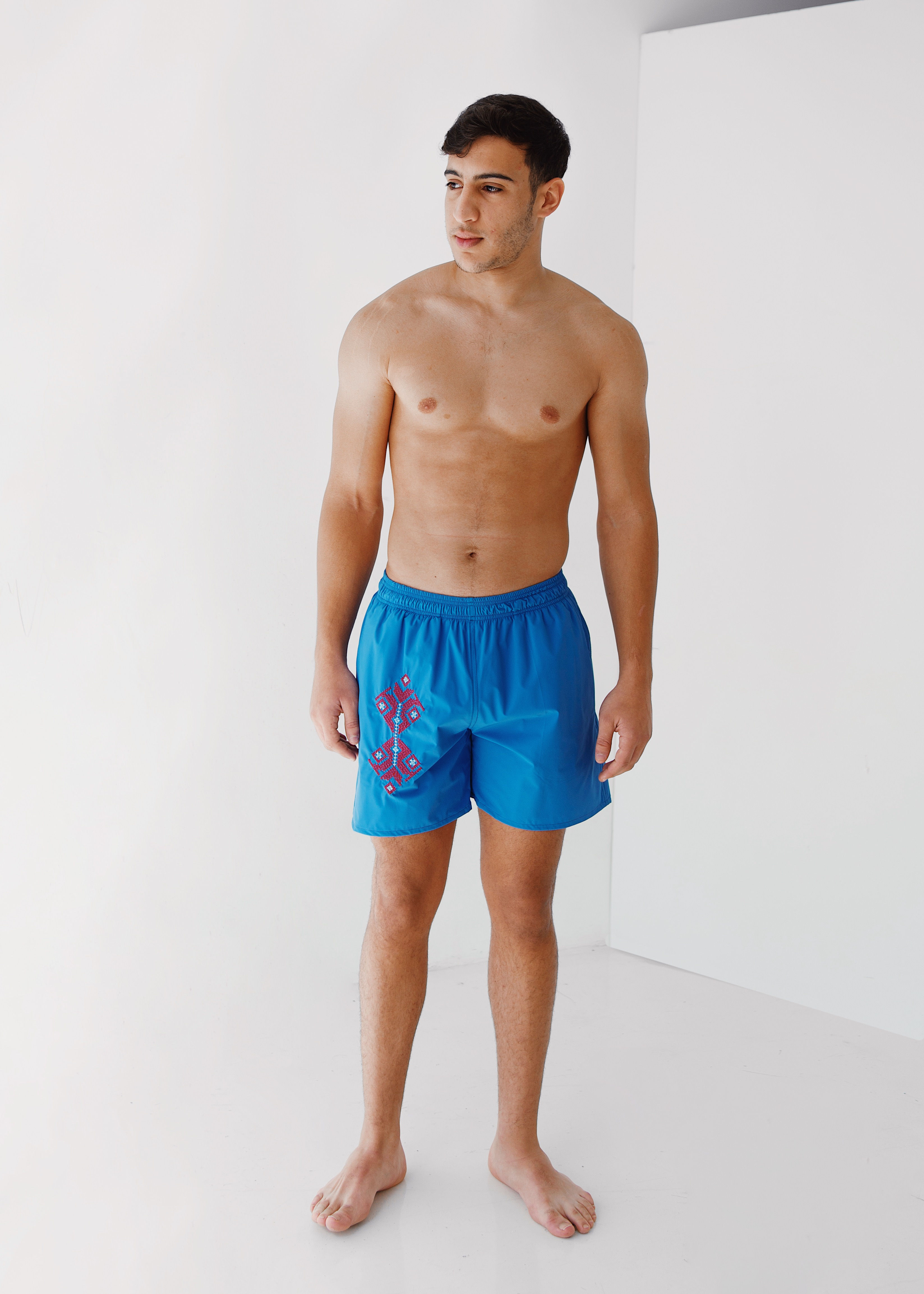SCATTERED SWIMSHORT