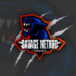 portfolio_sm1