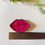 Miniature : Broche bouche rose 