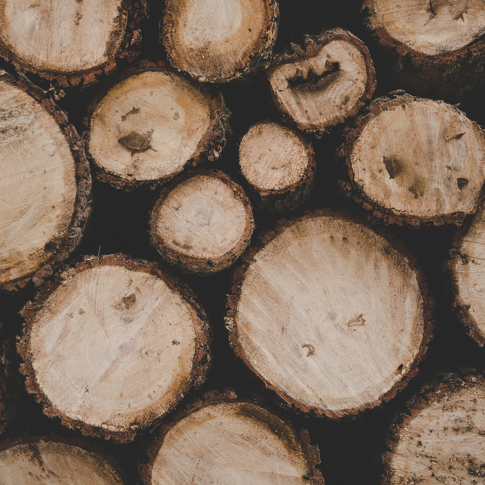 Miniatiūra: Purškiamas namų kvapas MIŠKAS