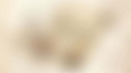 Тестове по български – често бъркани форми и правопис