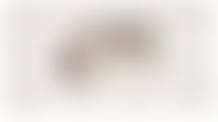 GEYVE HAN KİTABI
(Milli Gazete. 11 Ekim 2010)