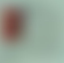 BURSA DAĞ YÖRESİ
(Tarih ve Medeniyet Dergisi. 2003)