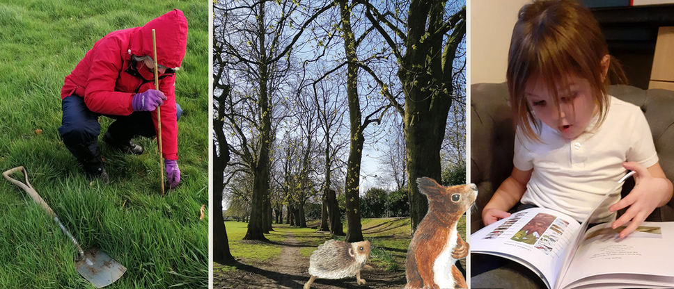 The Silver Surfer Blog No 2: Trees, A Book, And A Little Girl Called Katie