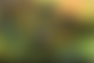 "Hanya Sejenak" Series In Collaboration With Projek Rabak & Jack Malik