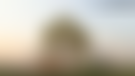 5 descobertas da semana para sextar legal! #001