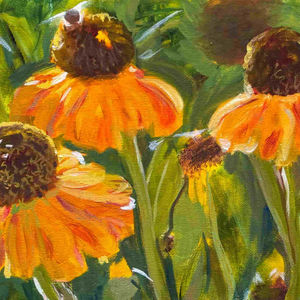 Yellow Coneflowers