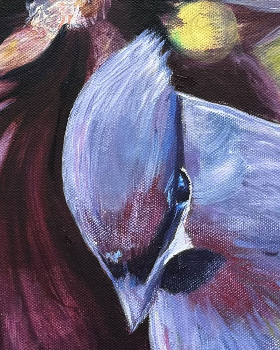 Begegnung eines Vogels mit einer Roten Blüte.detail.a.JPEG