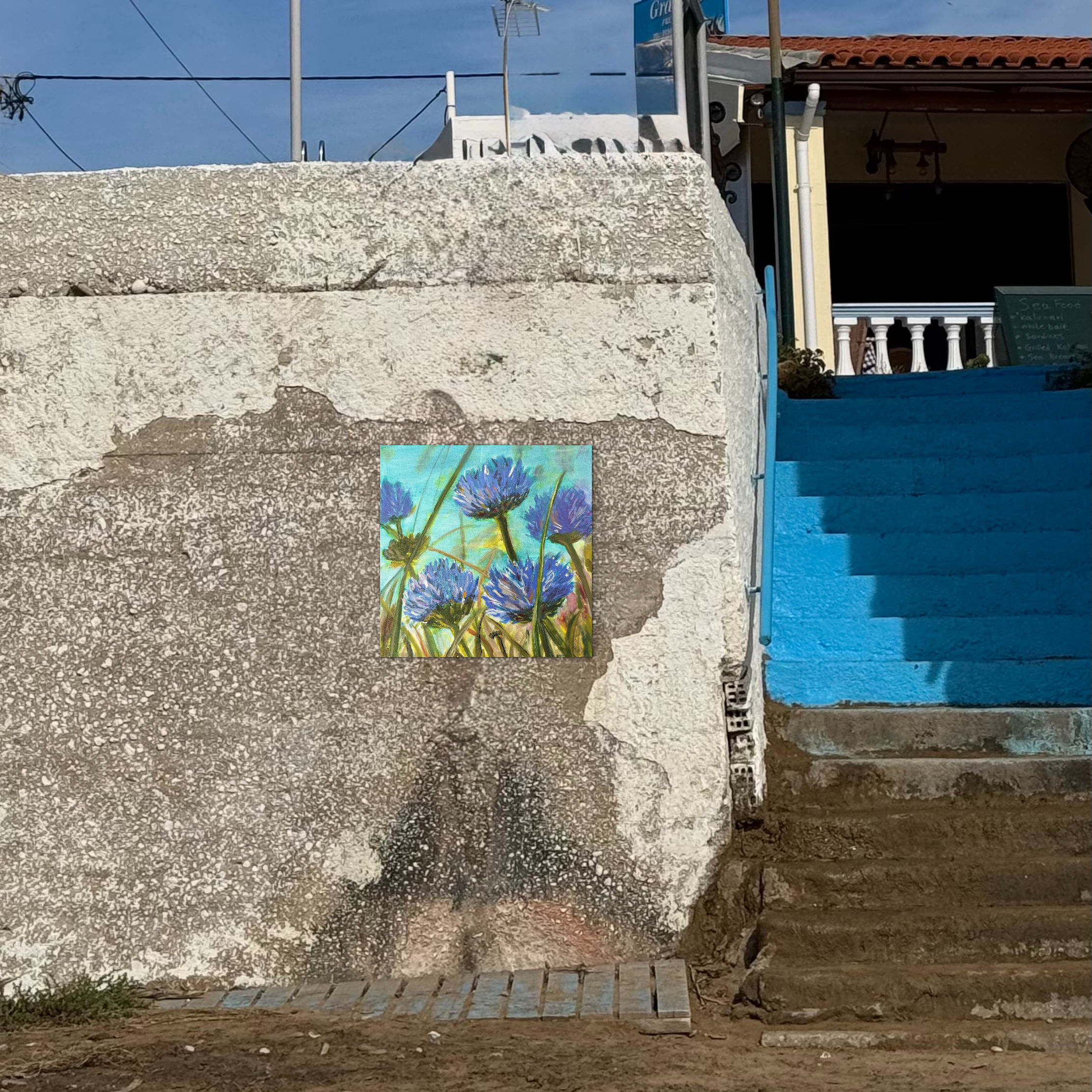 Wiesenblüten an Irlands Westküste