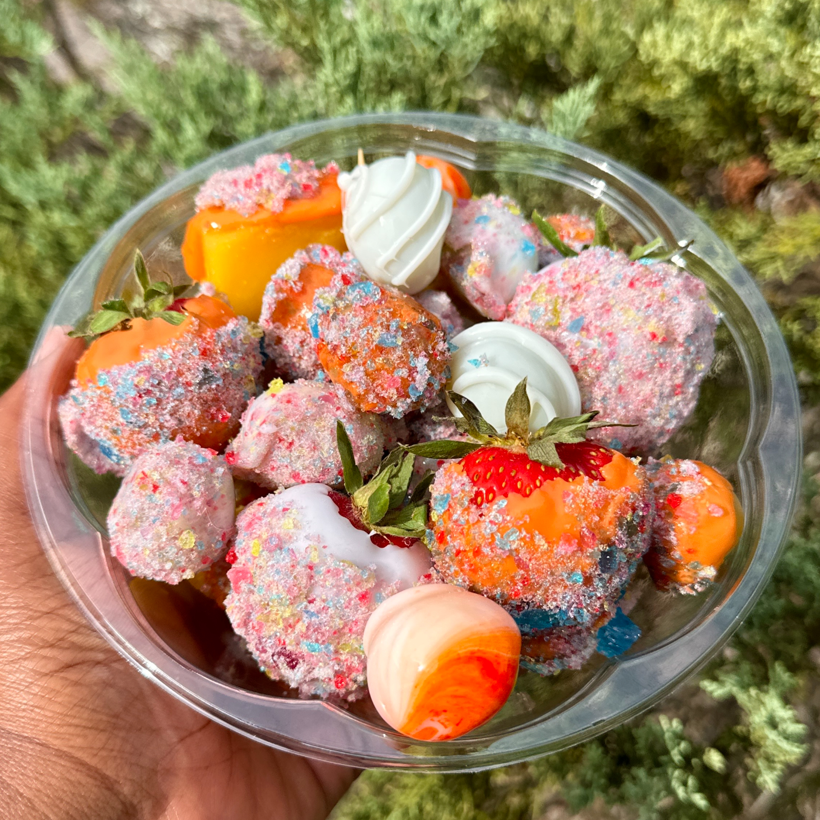 Arranged Food and Objects