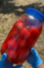 Egg Jar