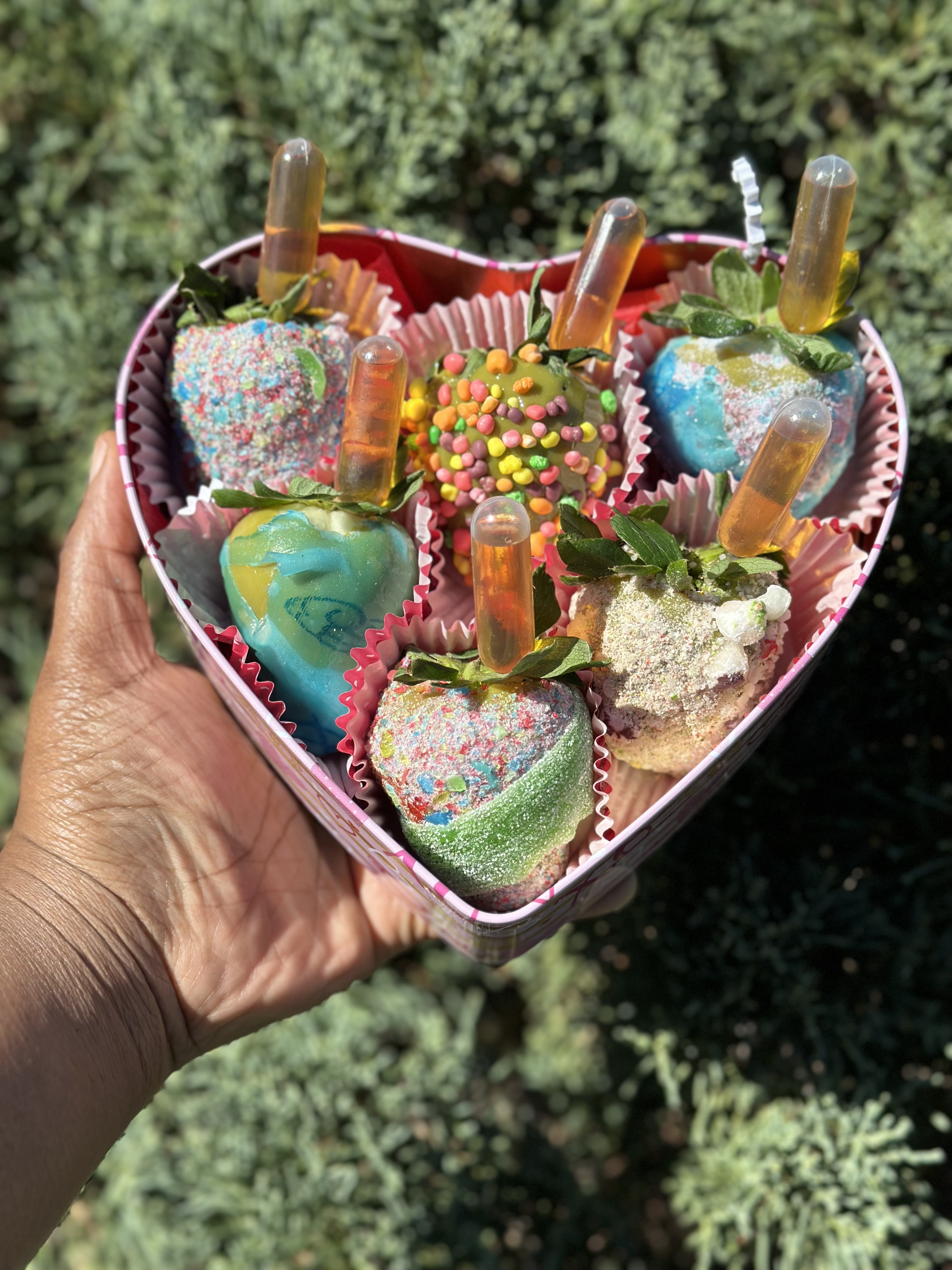 Arranged Food and Objects