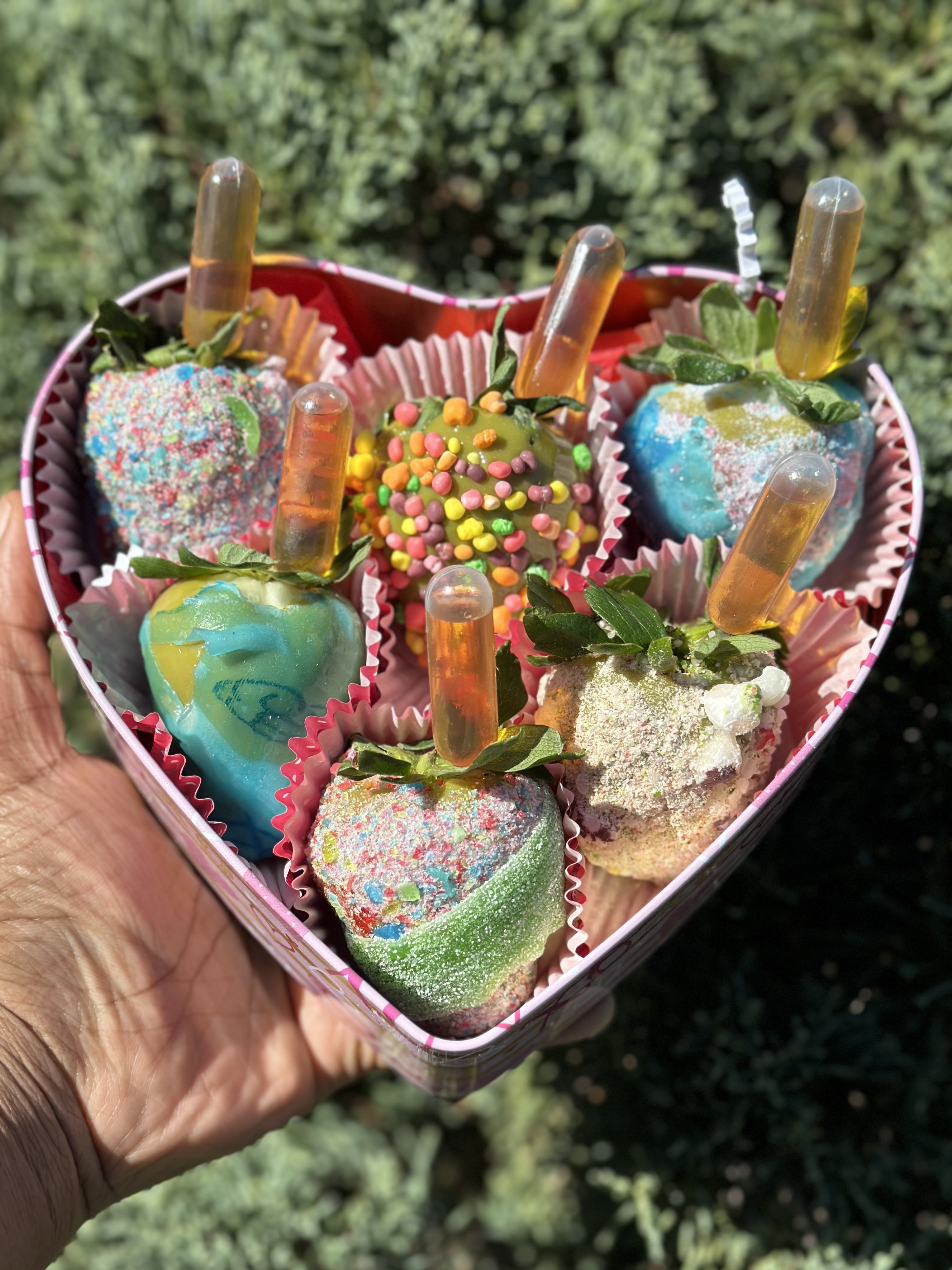 Arranged Food and Objects