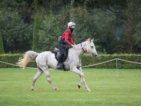 Wieso "der Sport" nicht das Problem ist