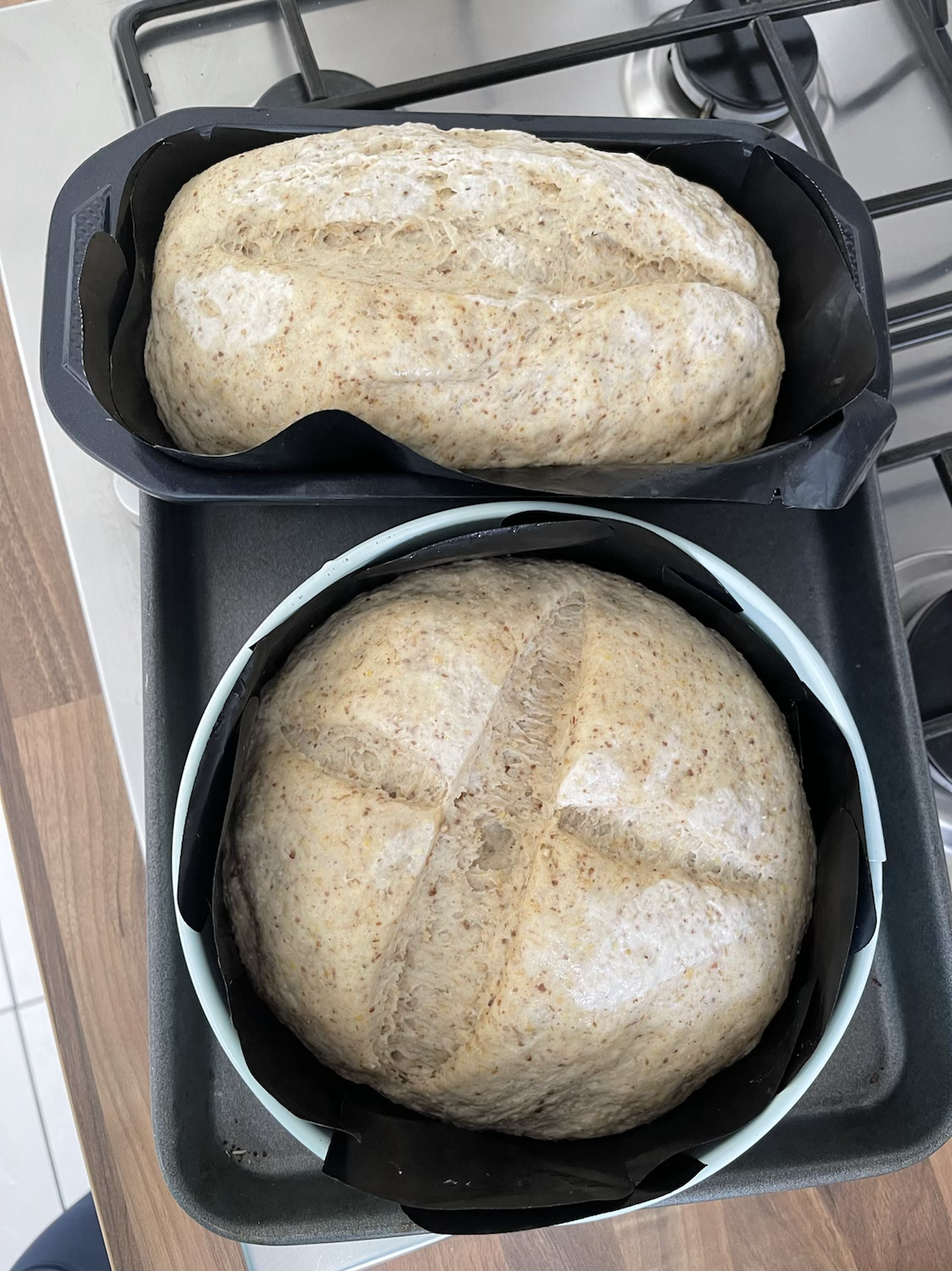 Sourdough Success content media