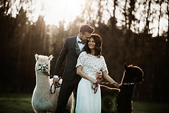Liebe im Quadrat; Hochzeit; Osnabrück; Ppeterie; Dekorationsverleih