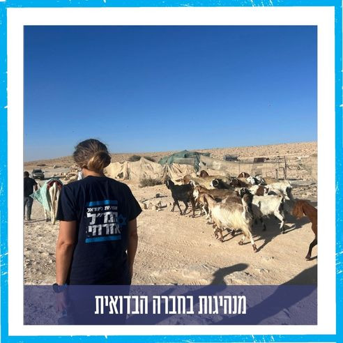 מנהיגות בחברה הבדואית