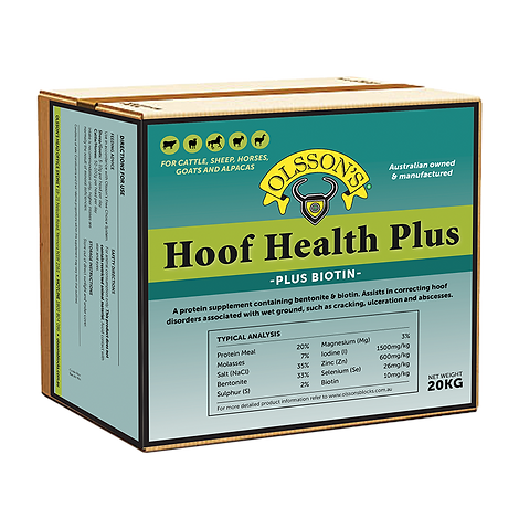 Mineral Health Moly.png