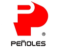 penoles-logotipo.png