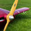 Thumbnail: Visual Angle of Attack
