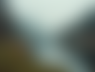 Pest Kontrolü ile Evde Temizlik Sağlama