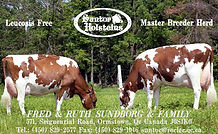 Suntor Business card copy.jpg
