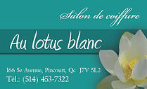 carte affaire melanie.jpg