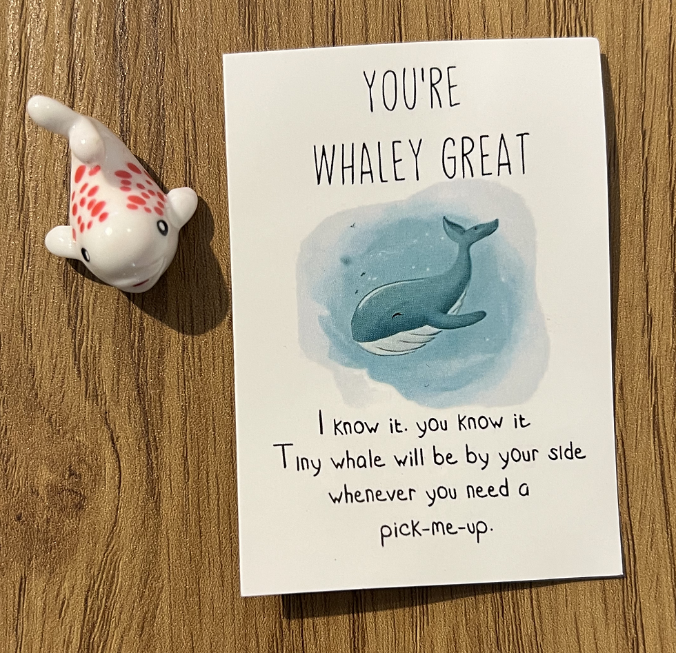 Thumbnail: Cute Animal Party Favours with Positive Affirmations