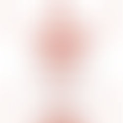 B&Bs Newsletter - 29 Dec 2025