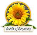 seeds of beginning log