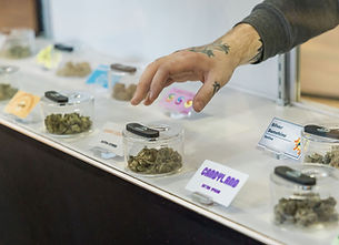 cannabis-strains-billings-mt.jpeg
