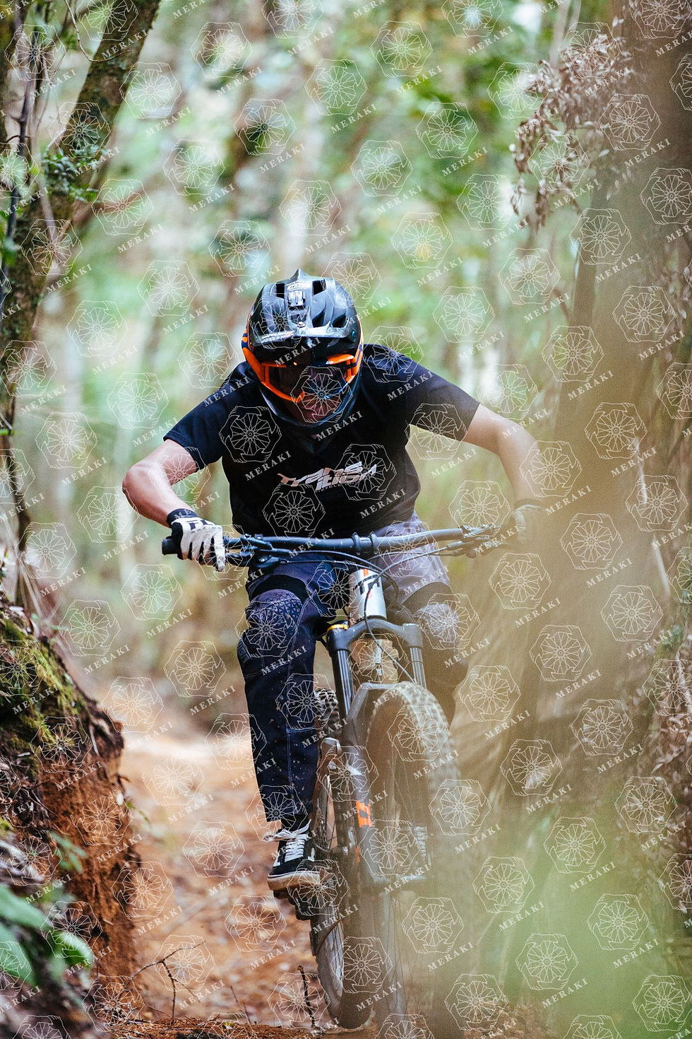 Costa Rica Photo Journey 28