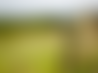 Allergies Attacking Your Voice? Try this 5-min vocal reset.