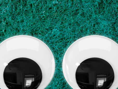 What the Muppets Taught Me about Public Speaking